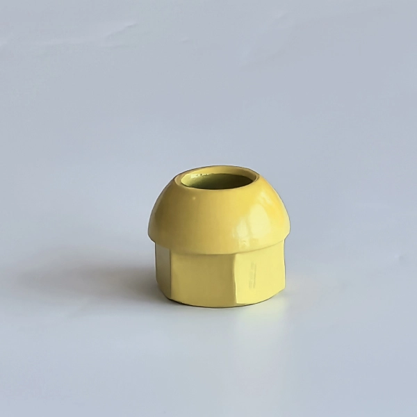R25 Domed Nut