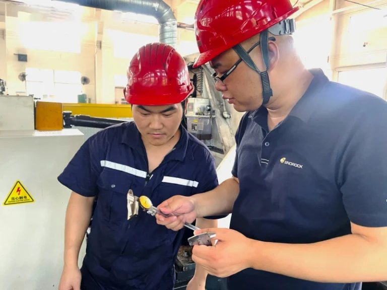 11.Inspector inspection